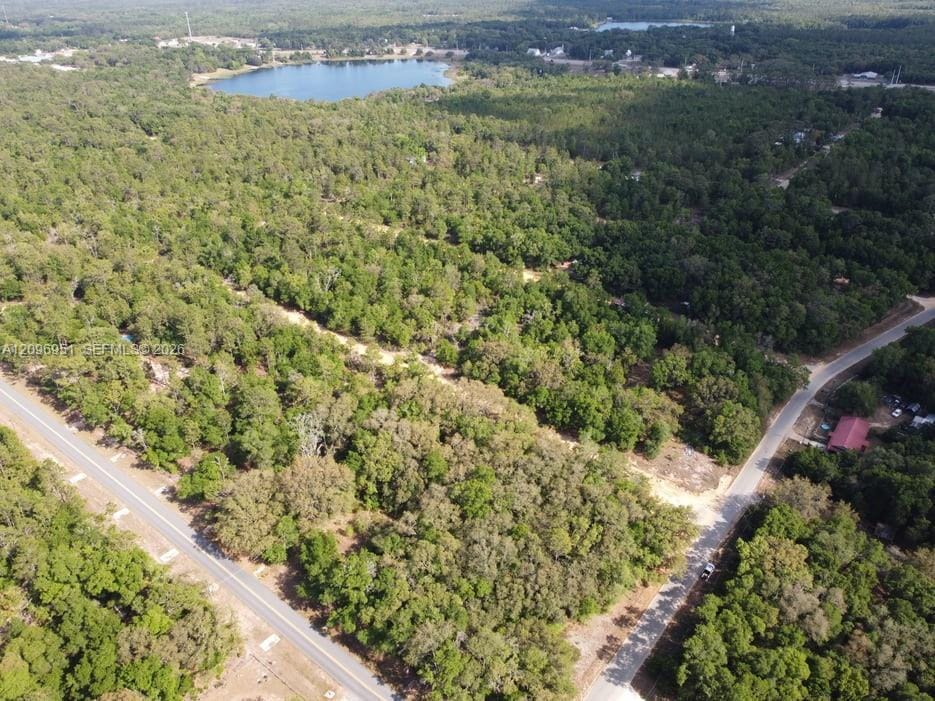 [162] Dickens Street, FL 32148 photo 3