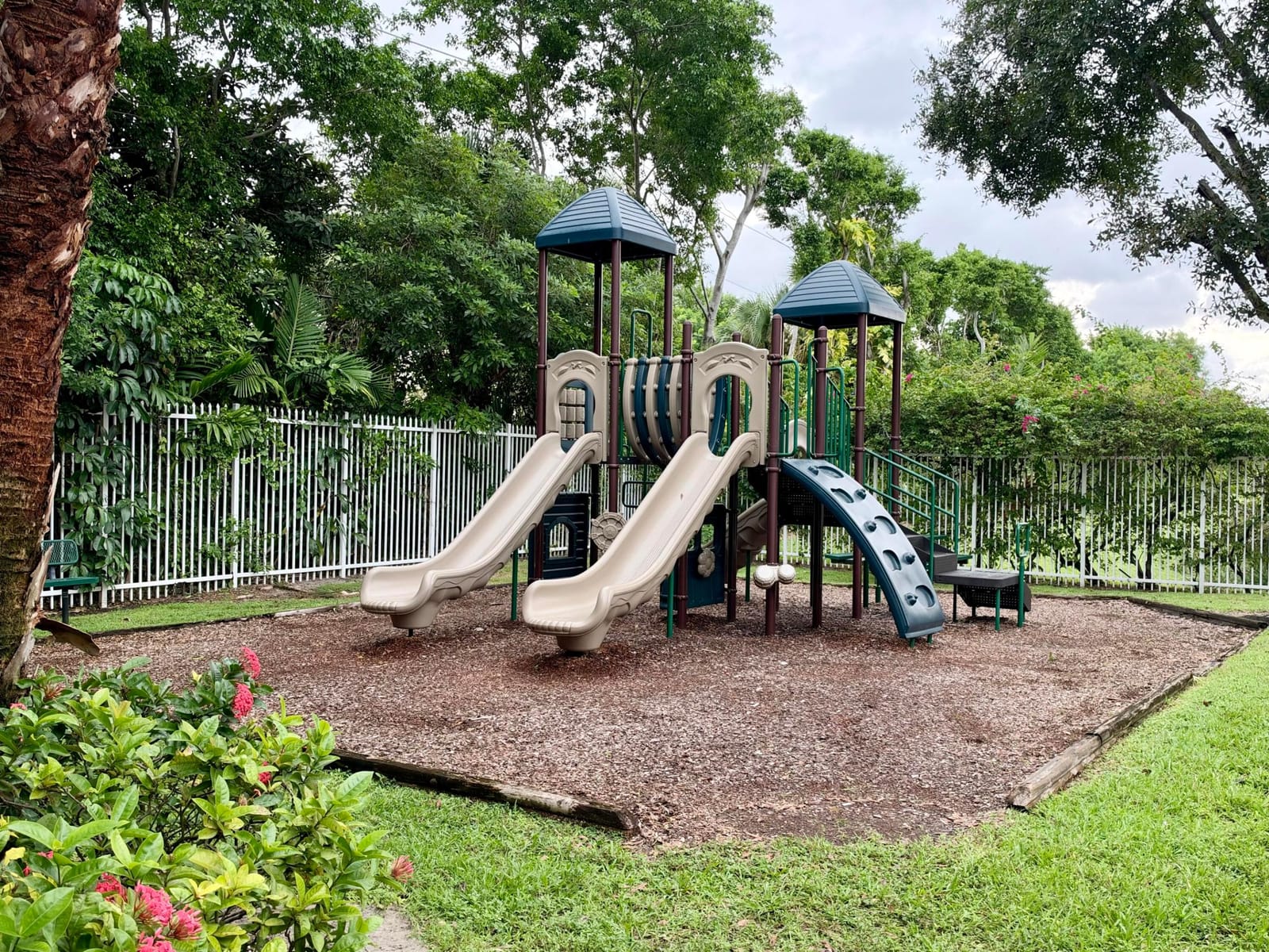 804 Summit Lake Drive — photo 6