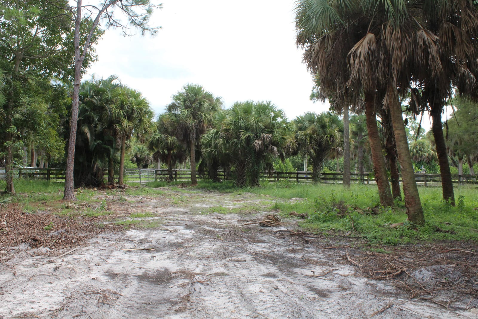 1275 Arabian Drive, Loxahatchee, FL 33470 photo 7