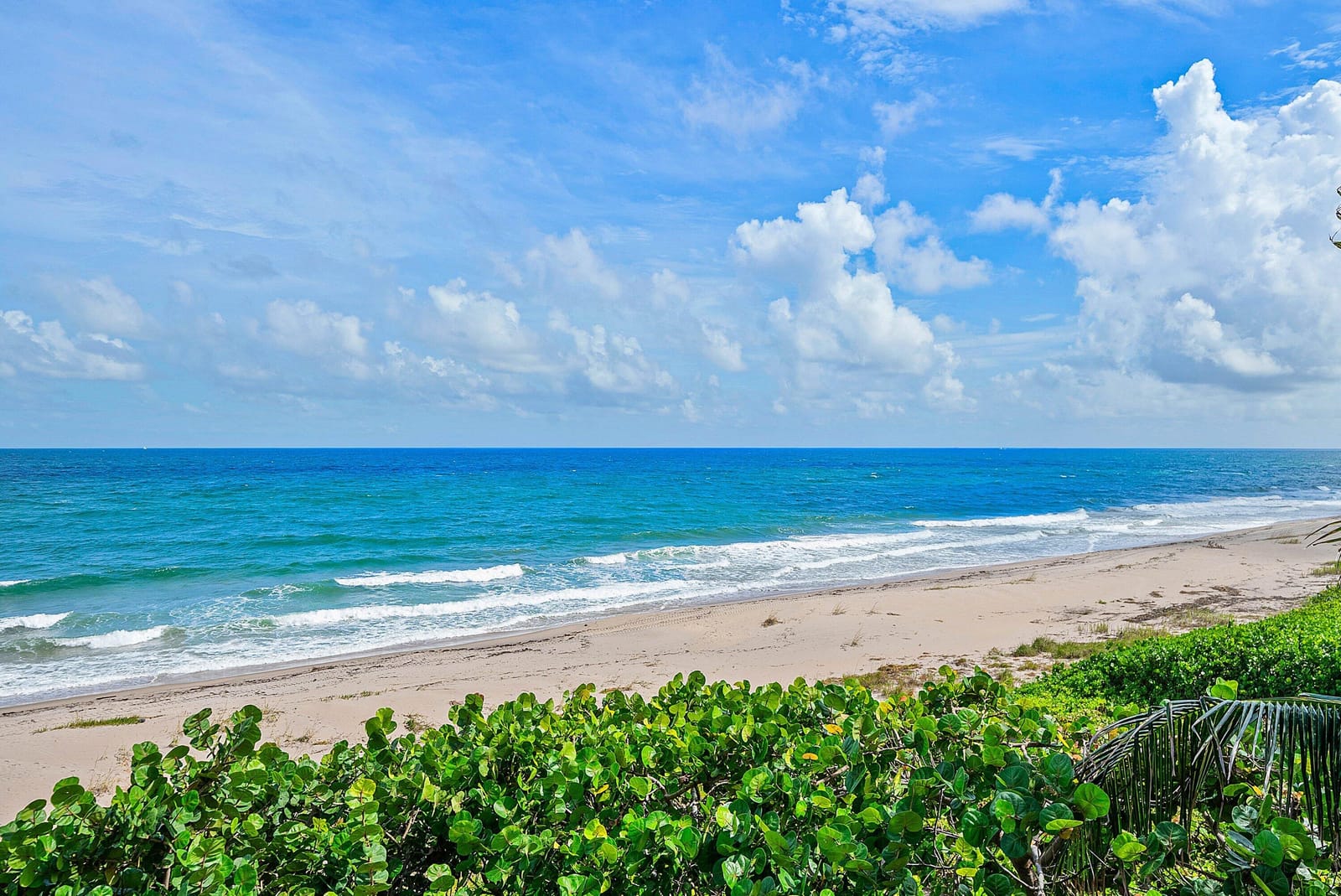 3851 N OCEAN Boulevard 3110, Gulf Stream, FL 33483 photo 27