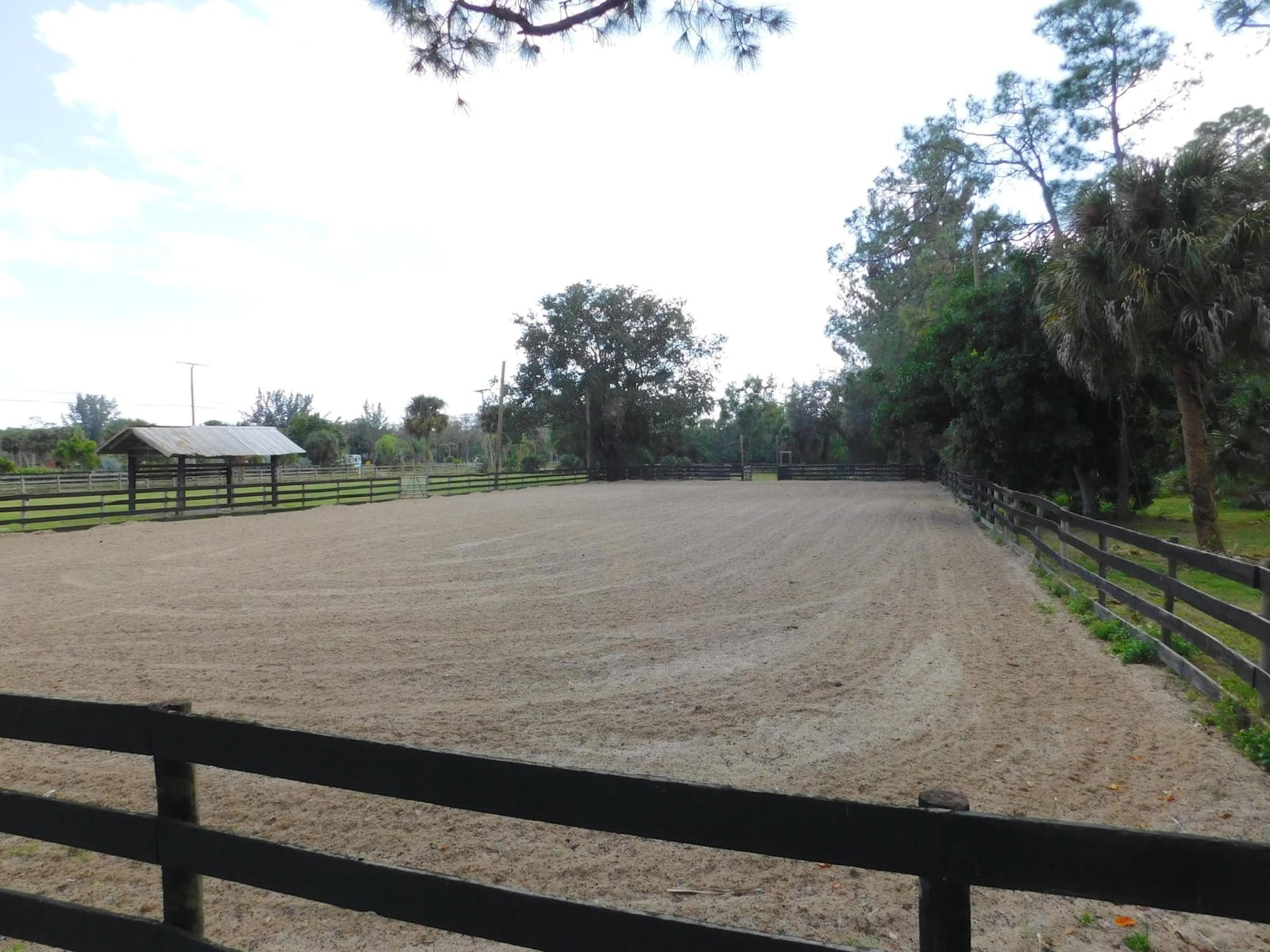 2833 F Road, Loxahatchee Groves, FL 33470 photo 14