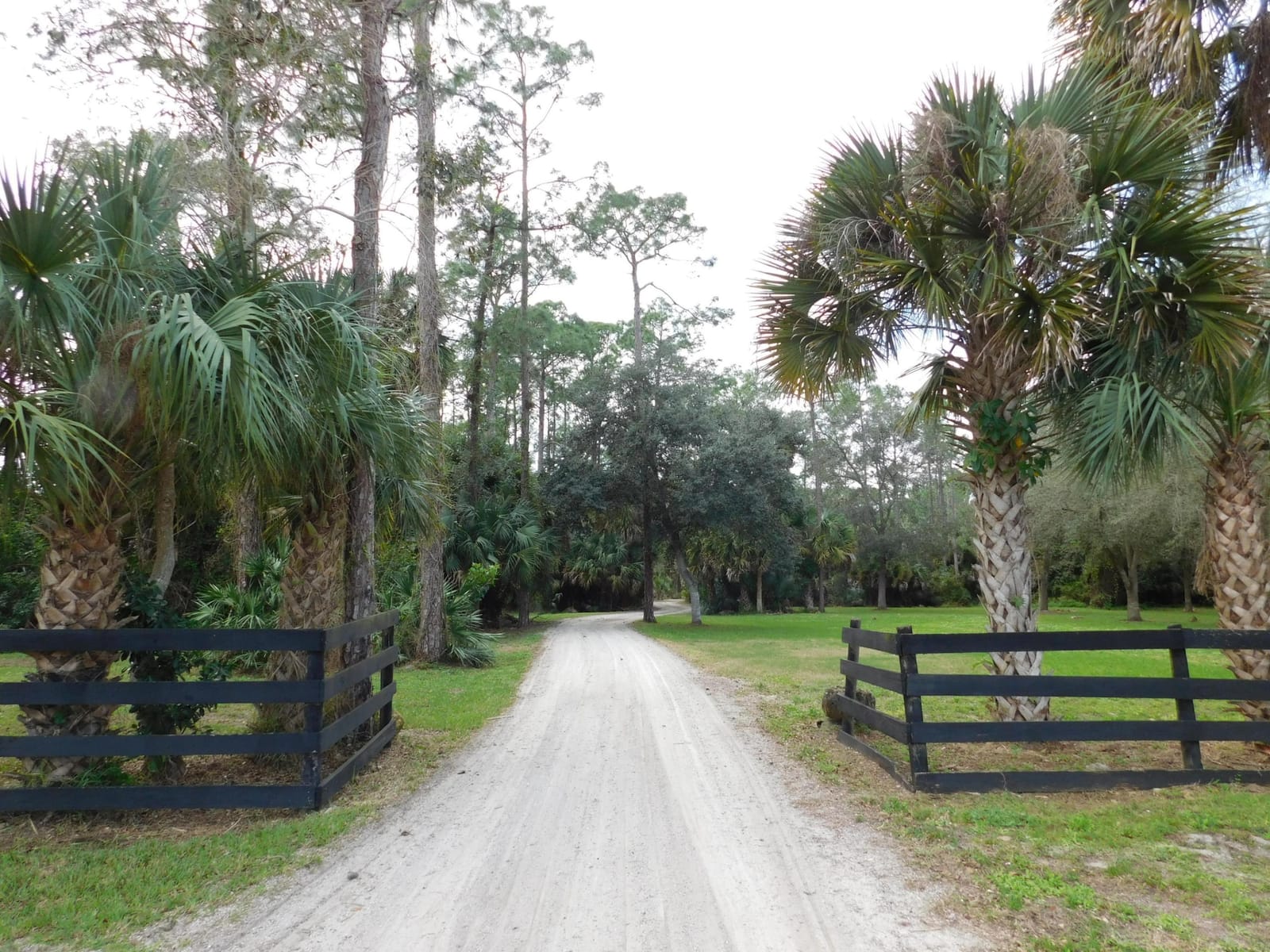 2833 F Road, Loxahatchee Groves, FL 33470 photo 18