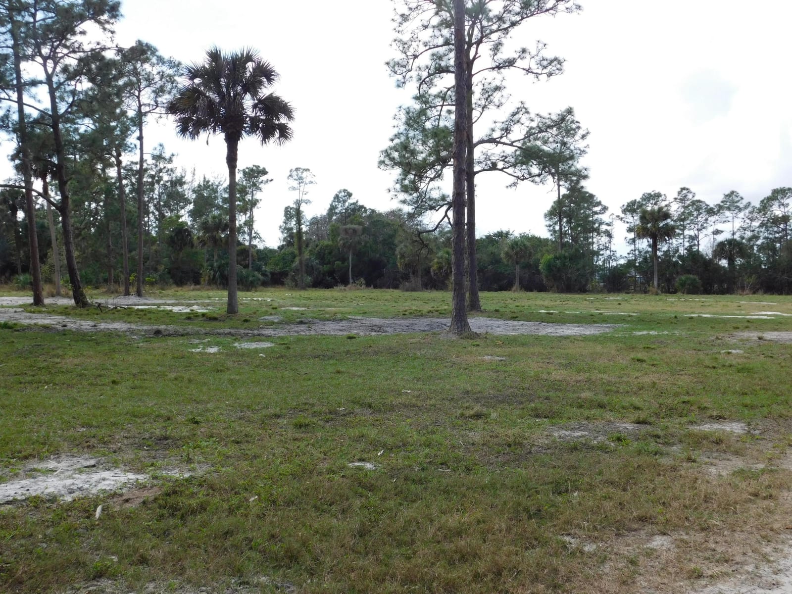 2833 F Road, Loxahatchee Groves, FL 33470 photo 19
