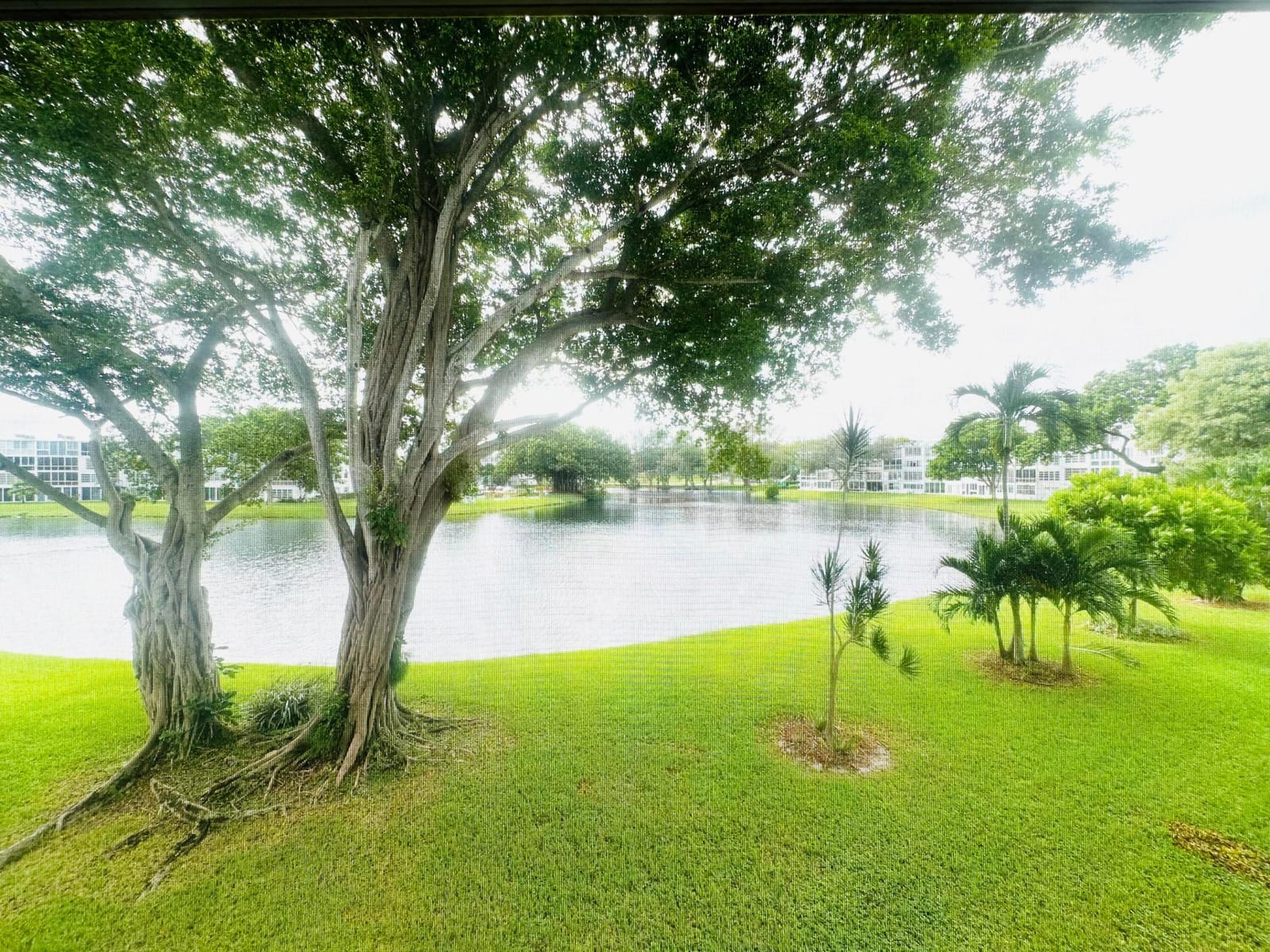 2031 Durham B, Deerfield Beach, FL 33442 photo 25