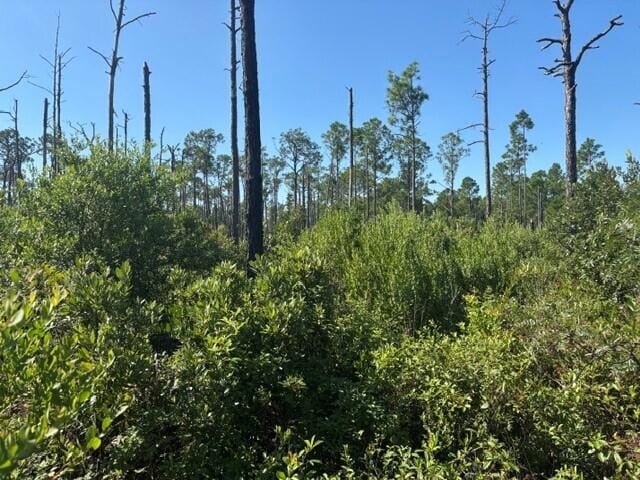 0 Hwy 630e, Frostproof, FL 33843 photo 1