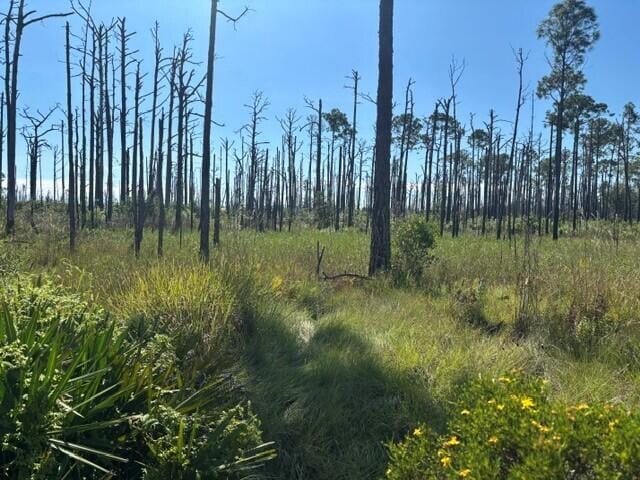 0 Hwy 630e, Frostproof, FL 33843 photo 2