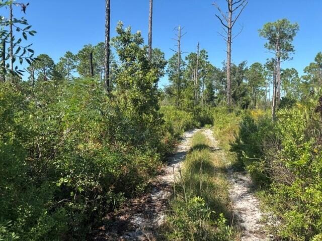 0 Hwy 630e, Frostproof, FL 33843 photo 3