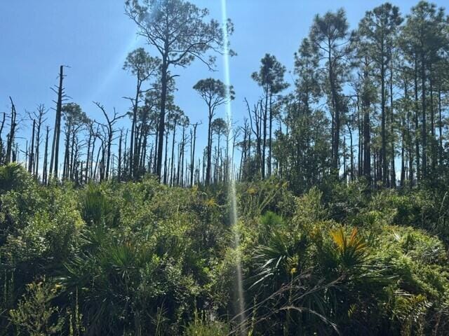 0 Hwy 630e, Frostproof, FL 33843 photo 2