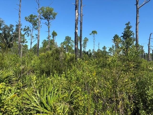 0 Hwy 630e, Frostproof, FL 33843 photo 1