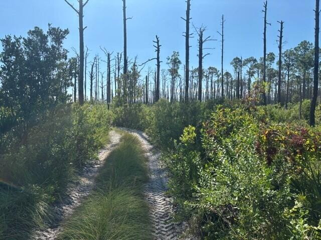 0 Hwy 630e, Frostproof, FL 33843 photo 2