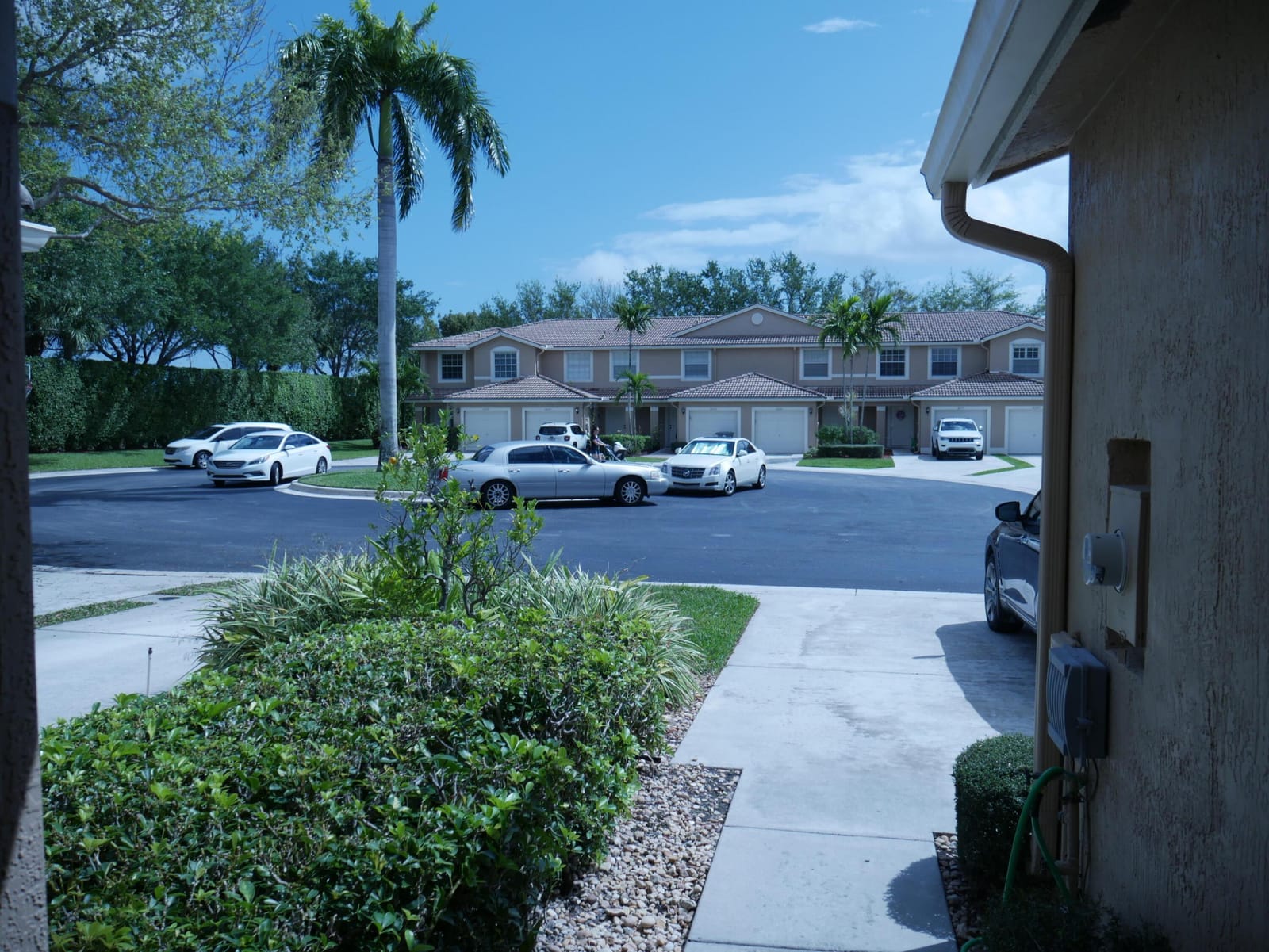 16254 Sierra Palms Drive — photo 11
