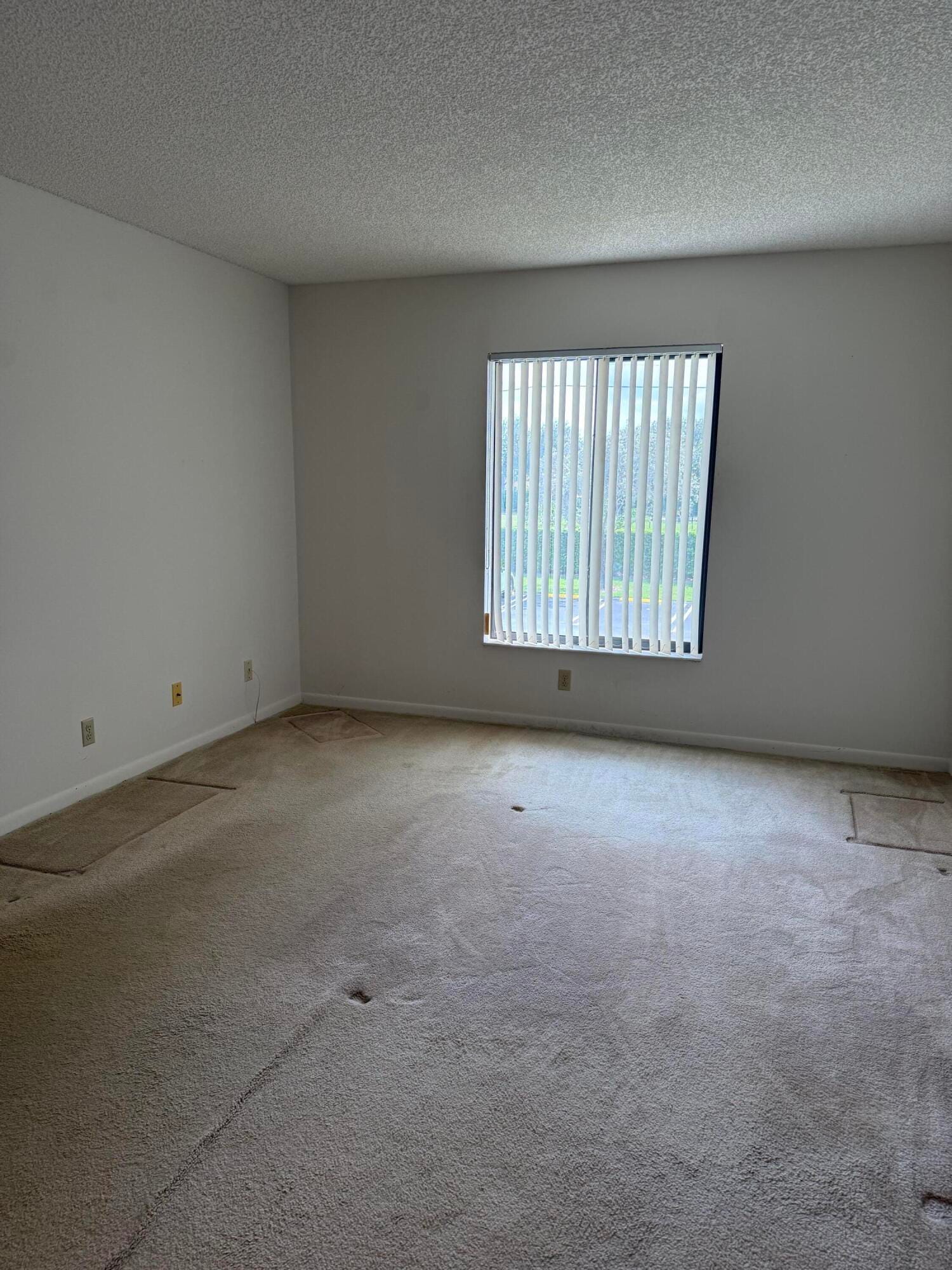821 SKY PINE Way C2 — photo 8