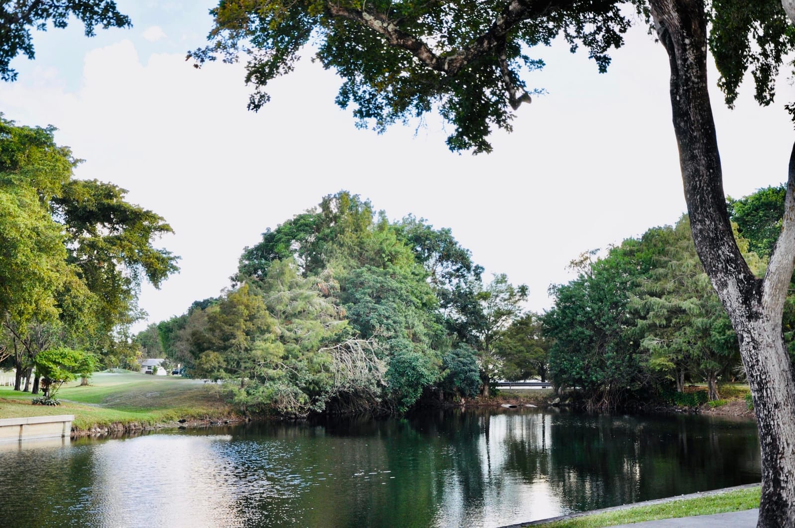 9070 Lime Bay Boulevard 103, Tamarac, FL 33321 photo 2