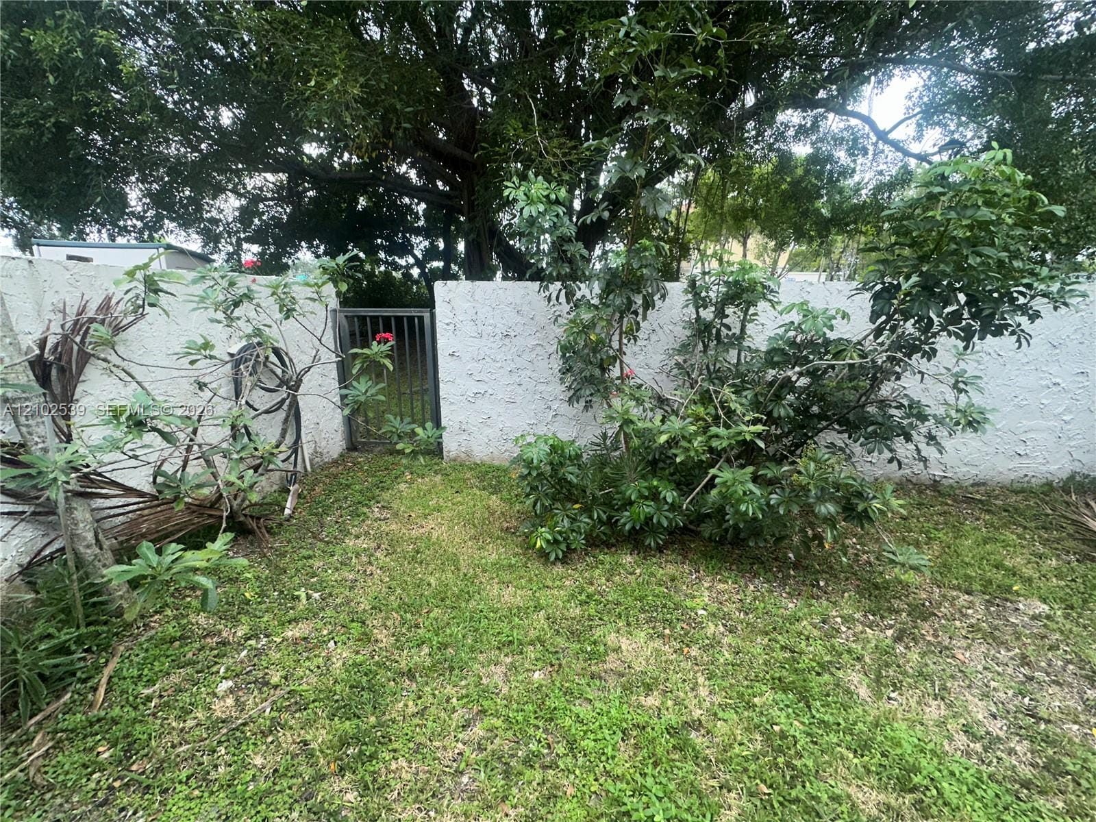 3905 Sheridan Street, Hollywood, FL 33021 photo 3