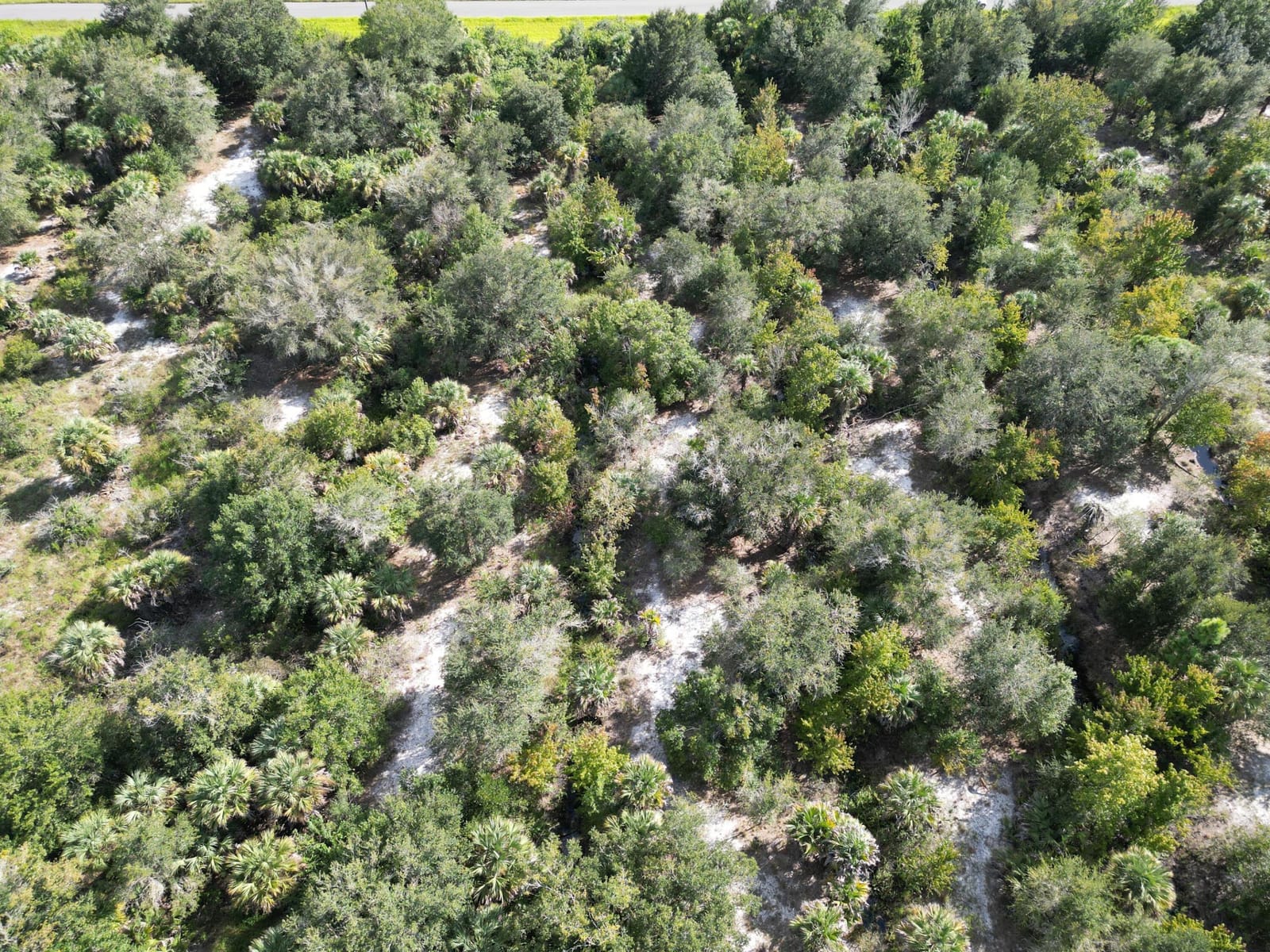 328 STALLION Street, Palm Bay, FL 32909 photo 10