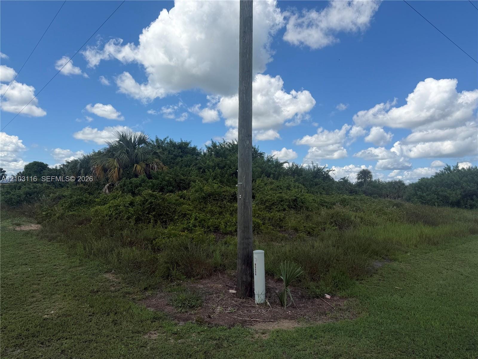 9006 Maywood Circle, Lehigh Acres, FL 33935 photo 3
