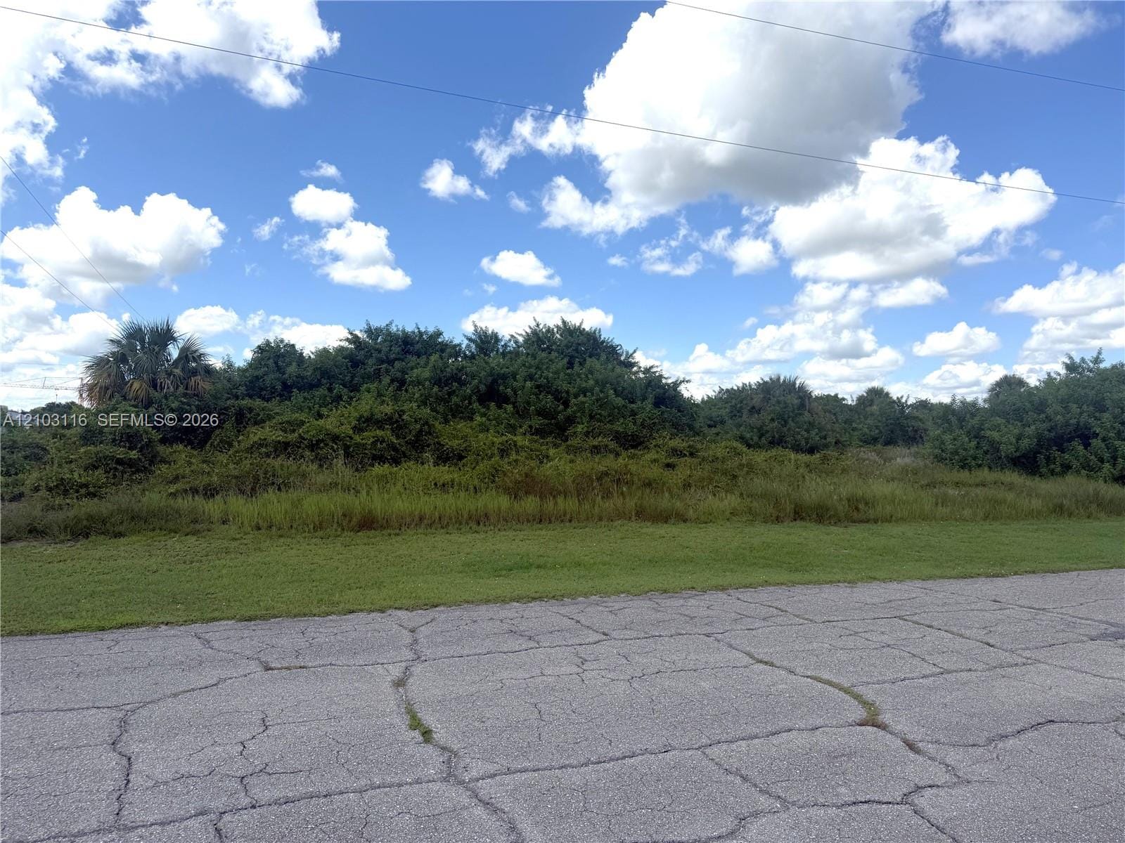 9006 Maywood Circle, Lehigh Acres, FL 33935 photo 4