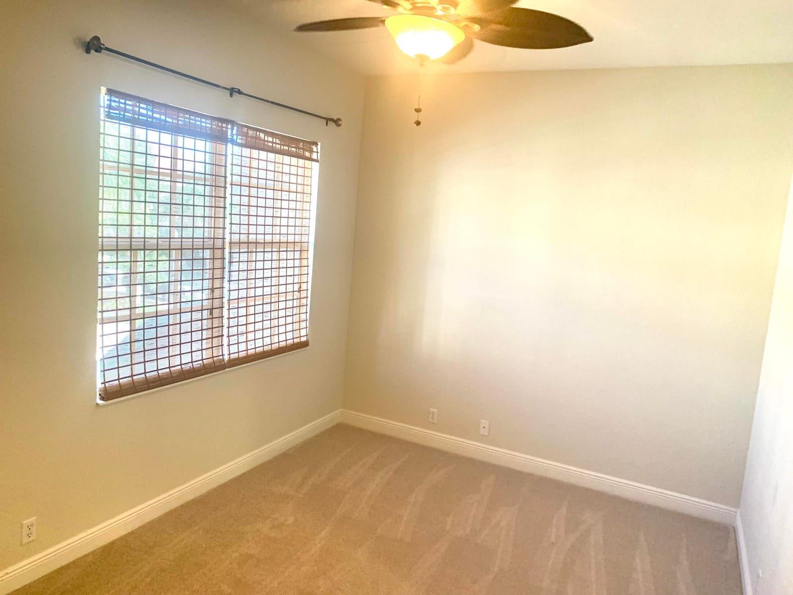 4805 SAWGRASS BREEZE Drive — photo 6