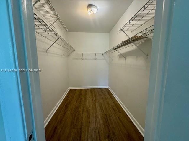 3123 Oakland Shores Drive D202, Oakland Park, FL 33309 photo 23