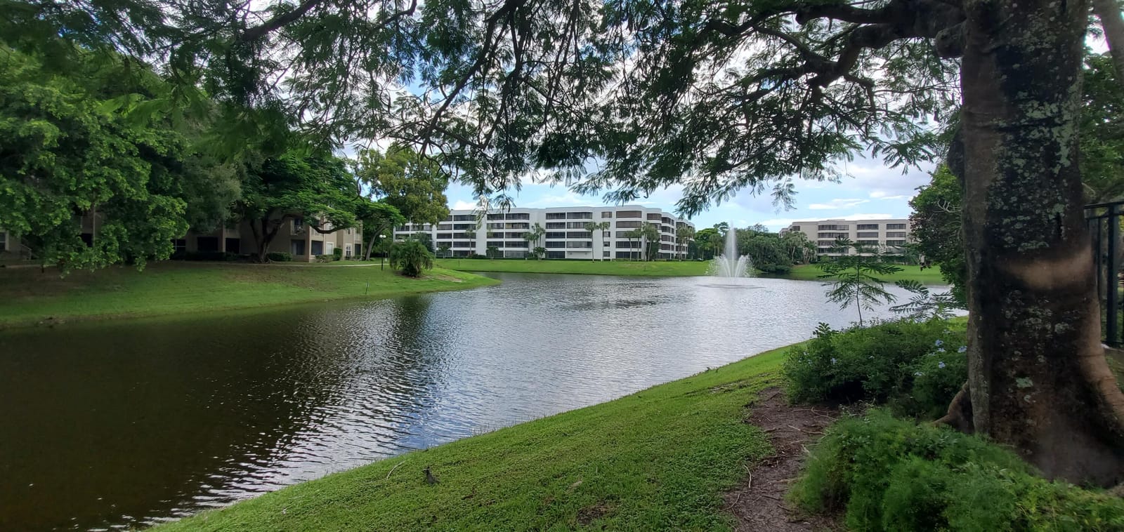 1845 PALM COVE Boulevard 8-104 — photo 3
