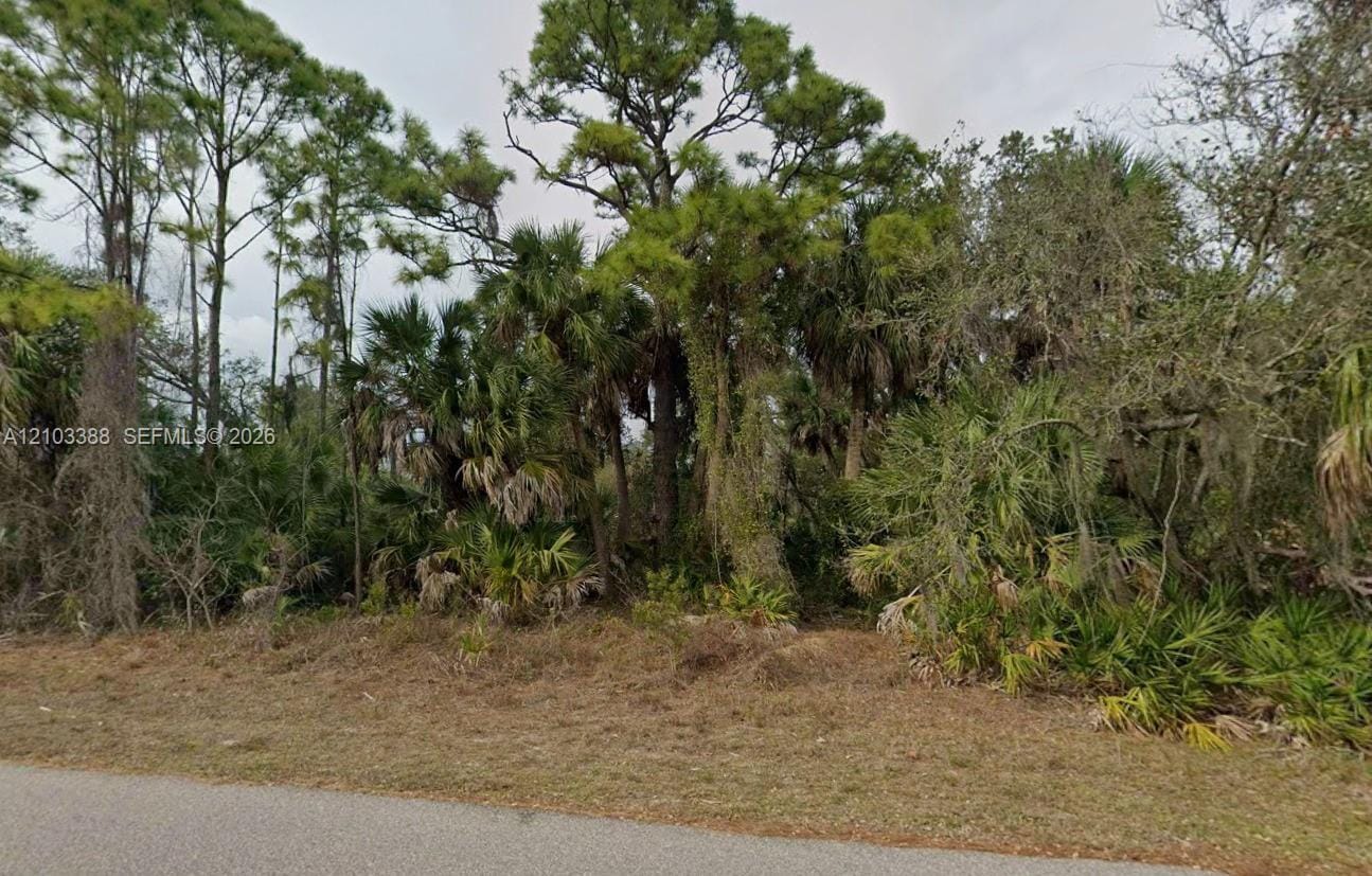 17414 Young Avenue, Port Charlotte, FL 33948 photo 2