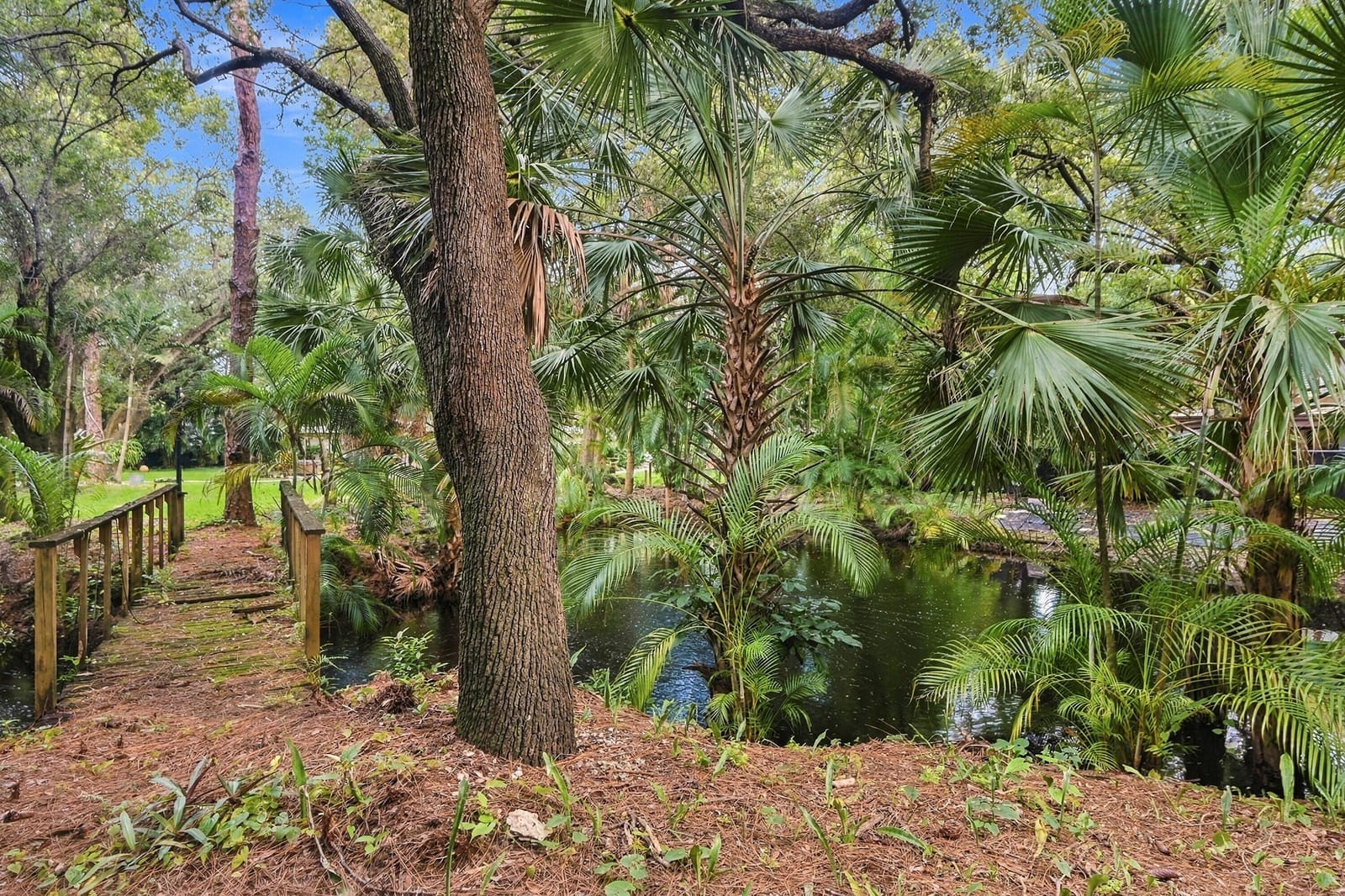 1549 SW 30TH Place, Fort Lauderdale, FL 33315 photo 19