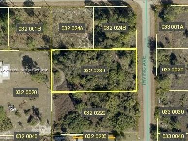 1821 Irving Avenue, Lehigh Acres, FL 33972
