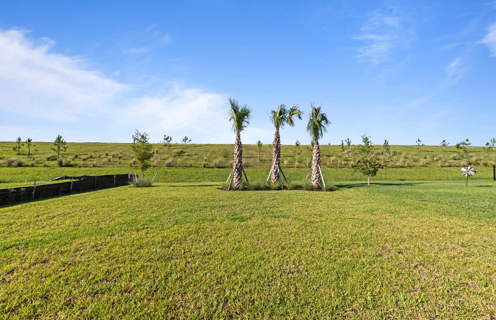 3849 Passion Vine Drive, Alva, FL 33920 photo 29