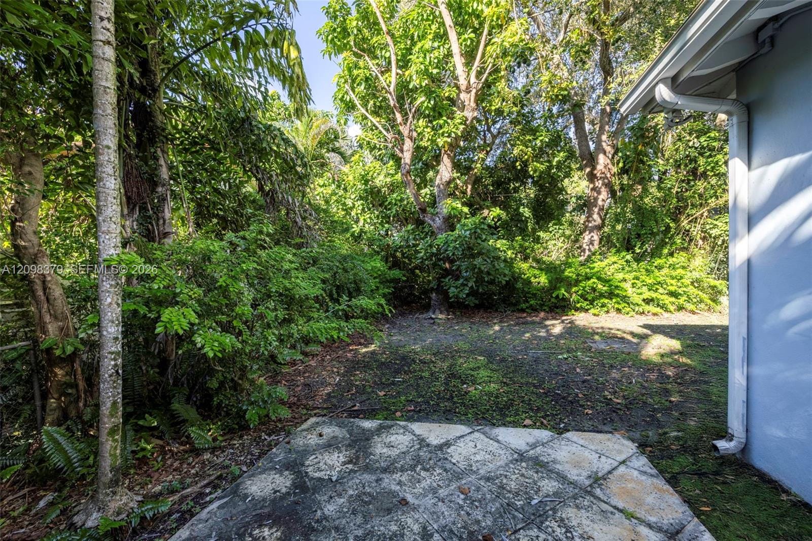1410 Cantoria Avenue, Coral Gables, FL 33146 photo 23