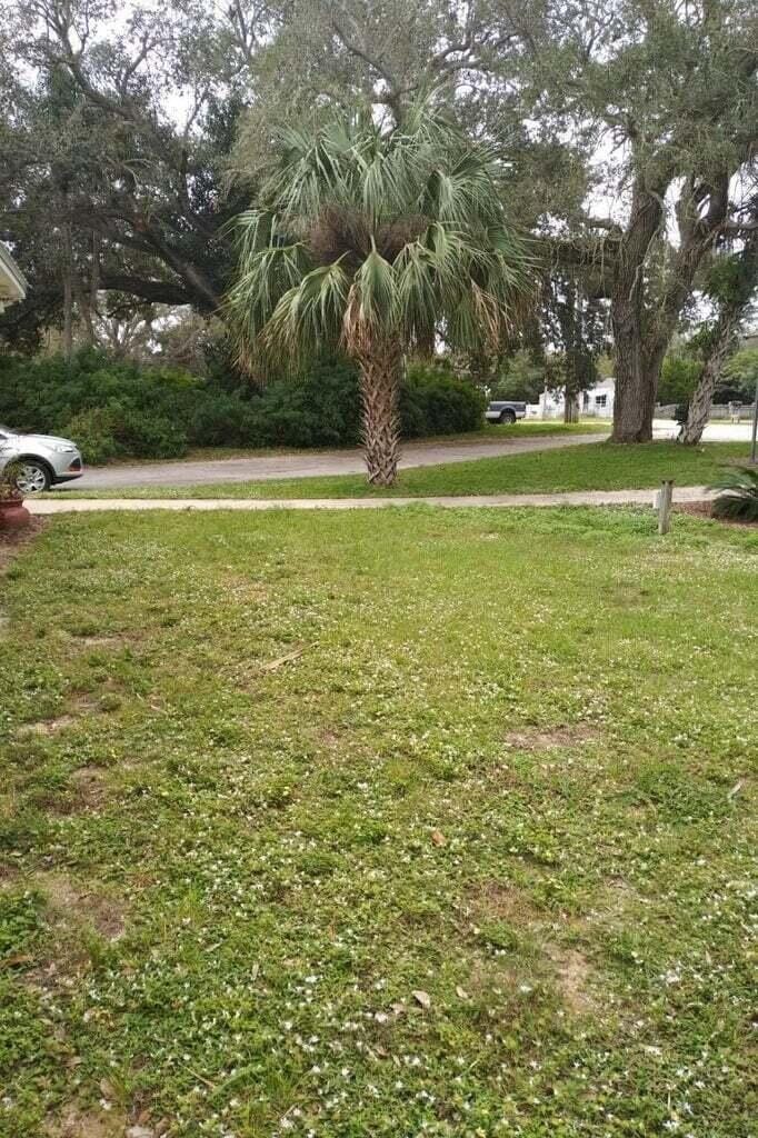 958 Louisiana Avenue, Sebastian, FL 32958 photo 29