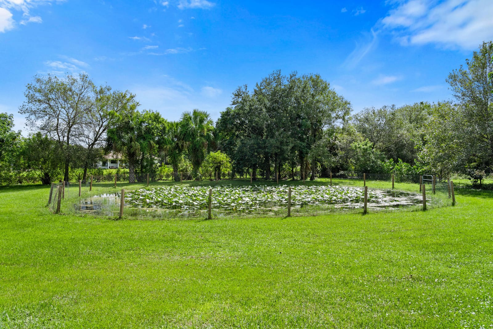 15338 97th Drive N, Jupiter, FL 33478 photo 29
