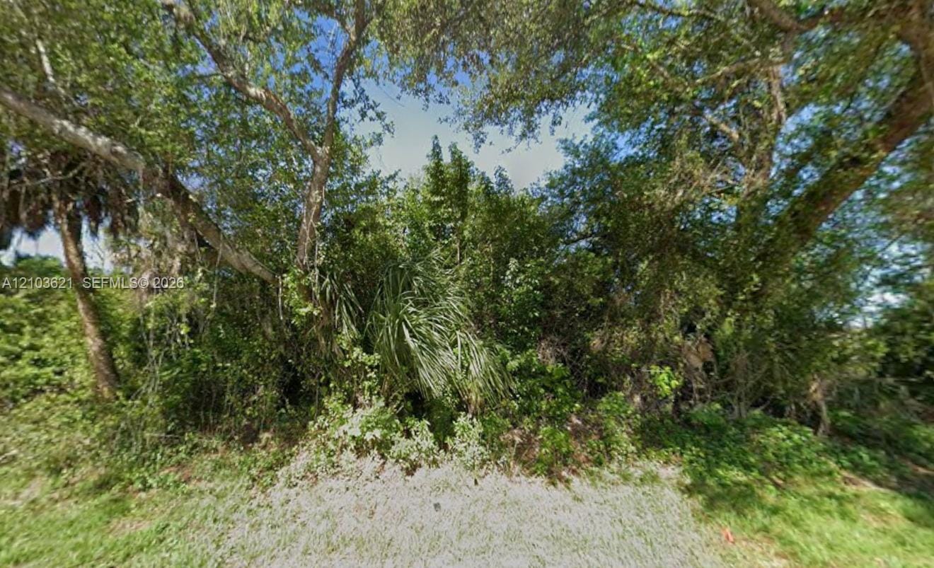 1345 Dewitt Street, Port Charlotte, FL 33952 photo 2