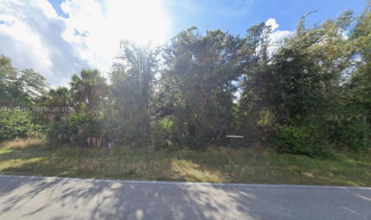 26293 Deep Creek Boulevard, Punta Gorda, FL 33983 photo 2