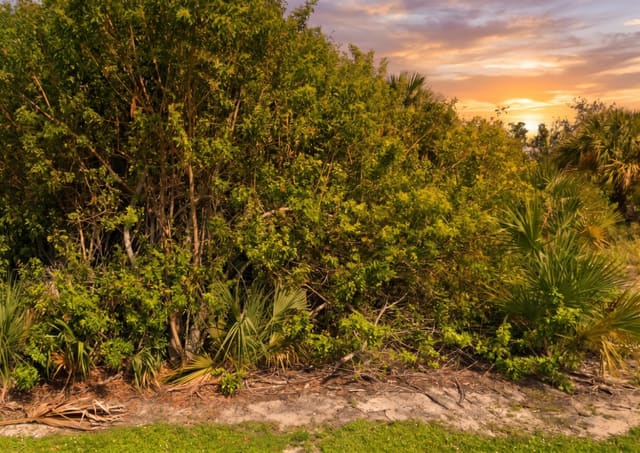 2300 42nd Street, Vero Beach, FL 32967