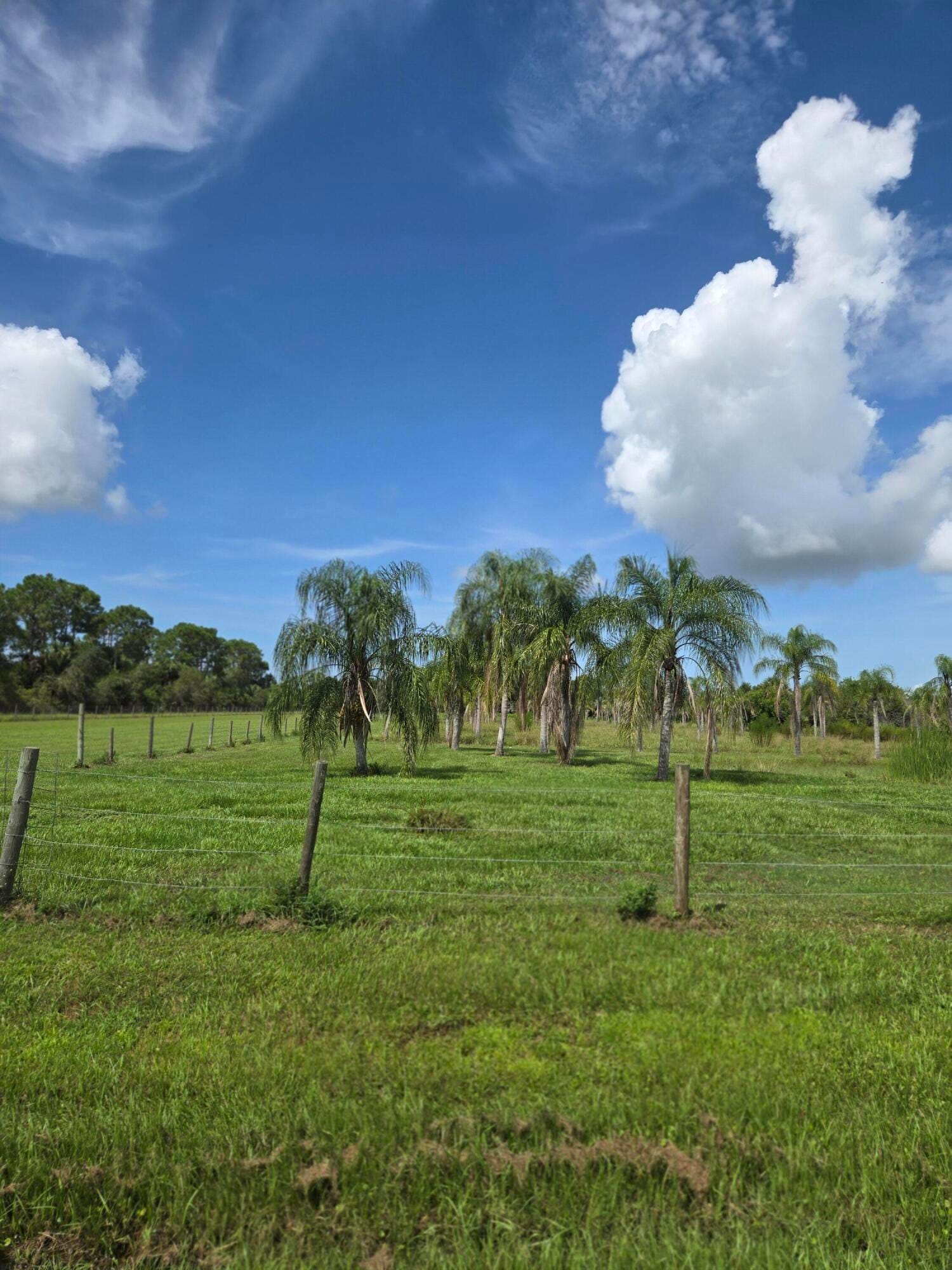 23101 SW CARDAMINE Street, Indiantown, FL 34956 photo 12