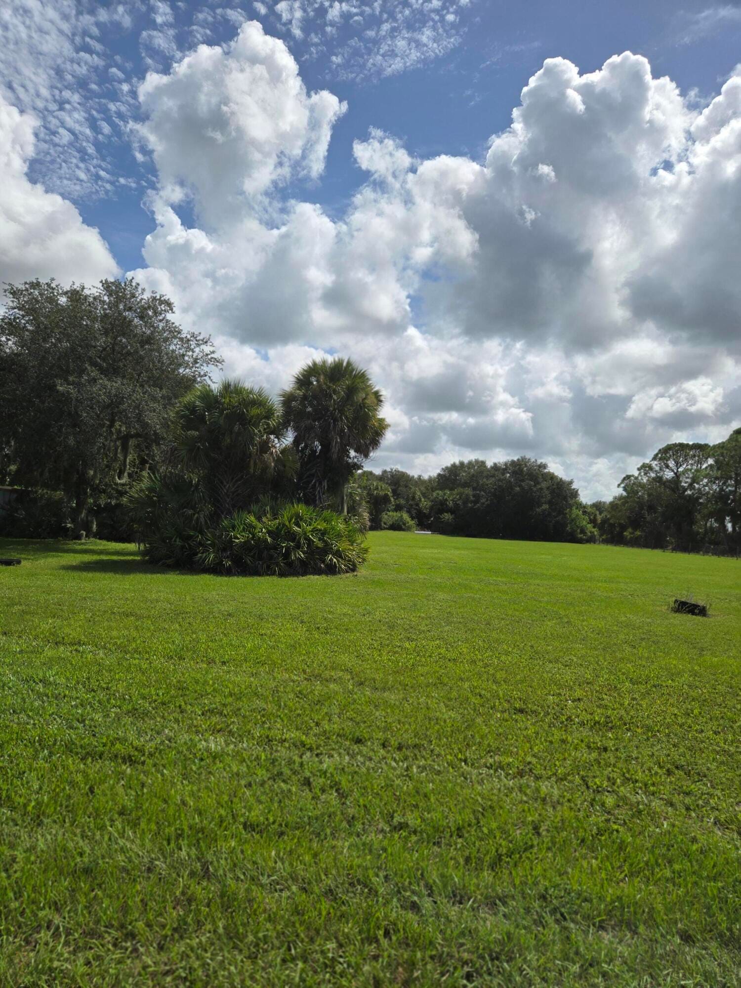 23101 SW CARDAMINE Street, Indiantown, FL 34956 photo 13