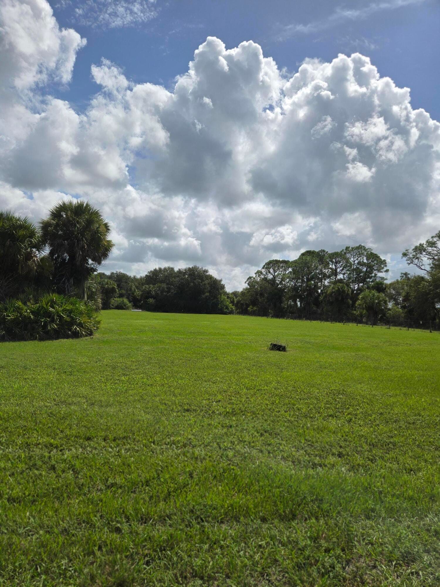 23101 SW CARDAMINE Street, Indiantown, FL 34956 photo 14