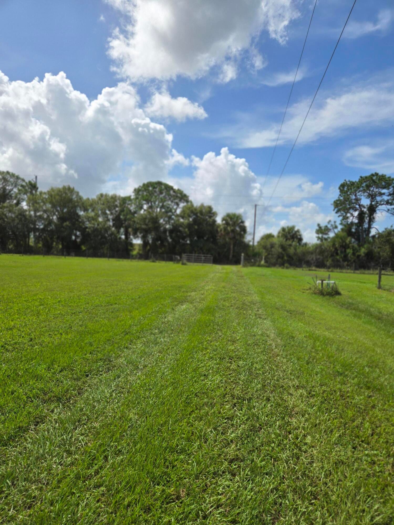 23101 SW CARDAMINE Street, Indiantown, FL 34956 photo 15