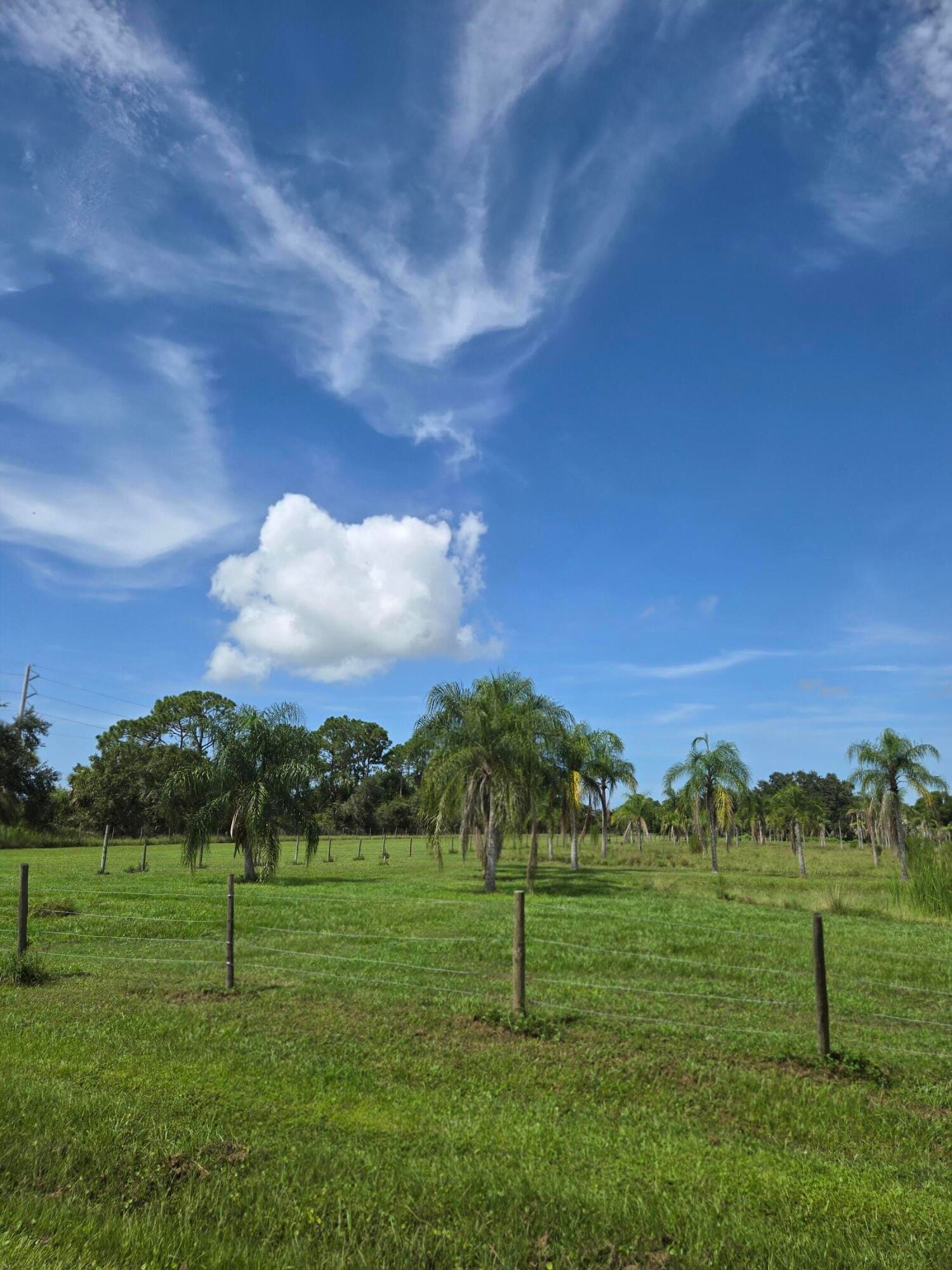 23101 SW CARDAMINE Street, Indiantown, FL 34956 photo 18