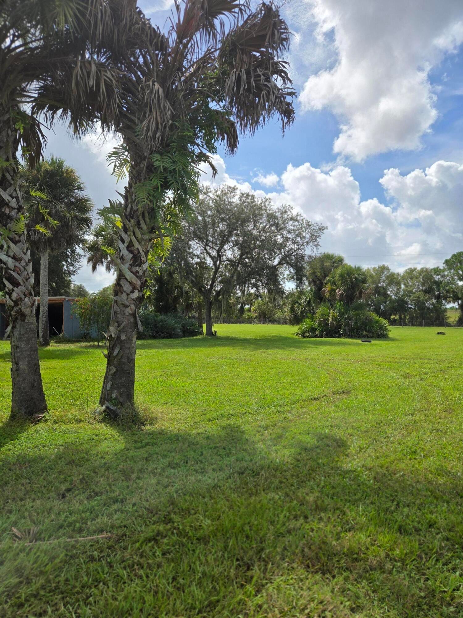 23101 SW CARDAMINE Street, Indiantown, FL 34956 photo 20