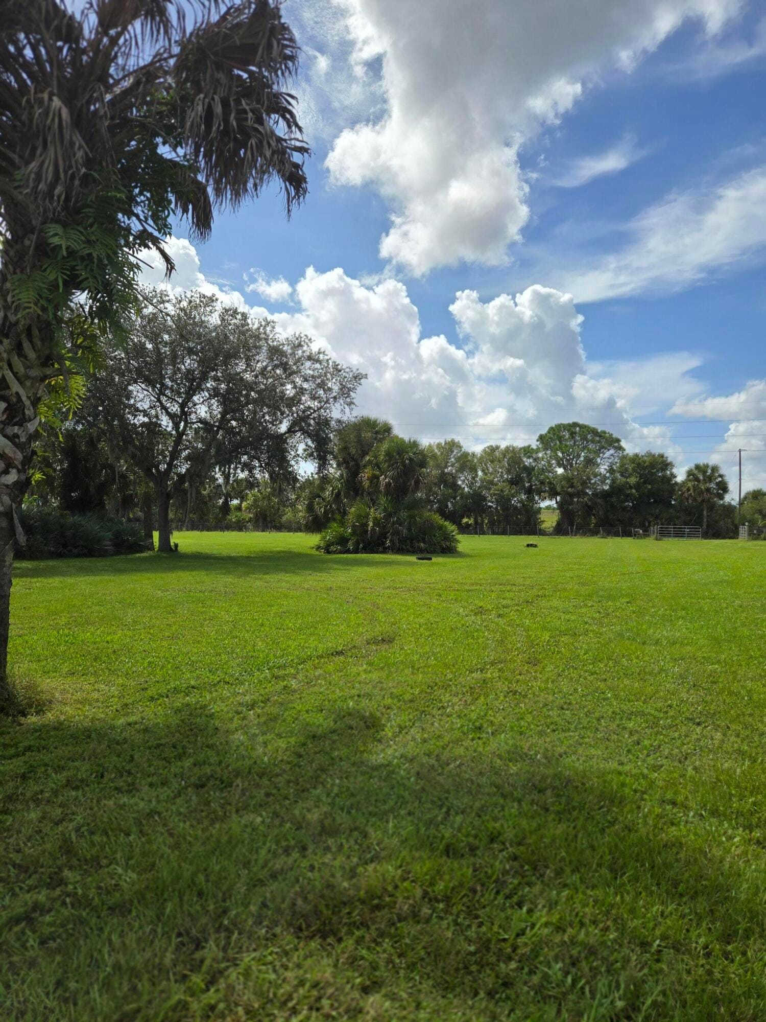 23101 SW CARDAMINE Street, Indiantown, FL 34956 photo 21