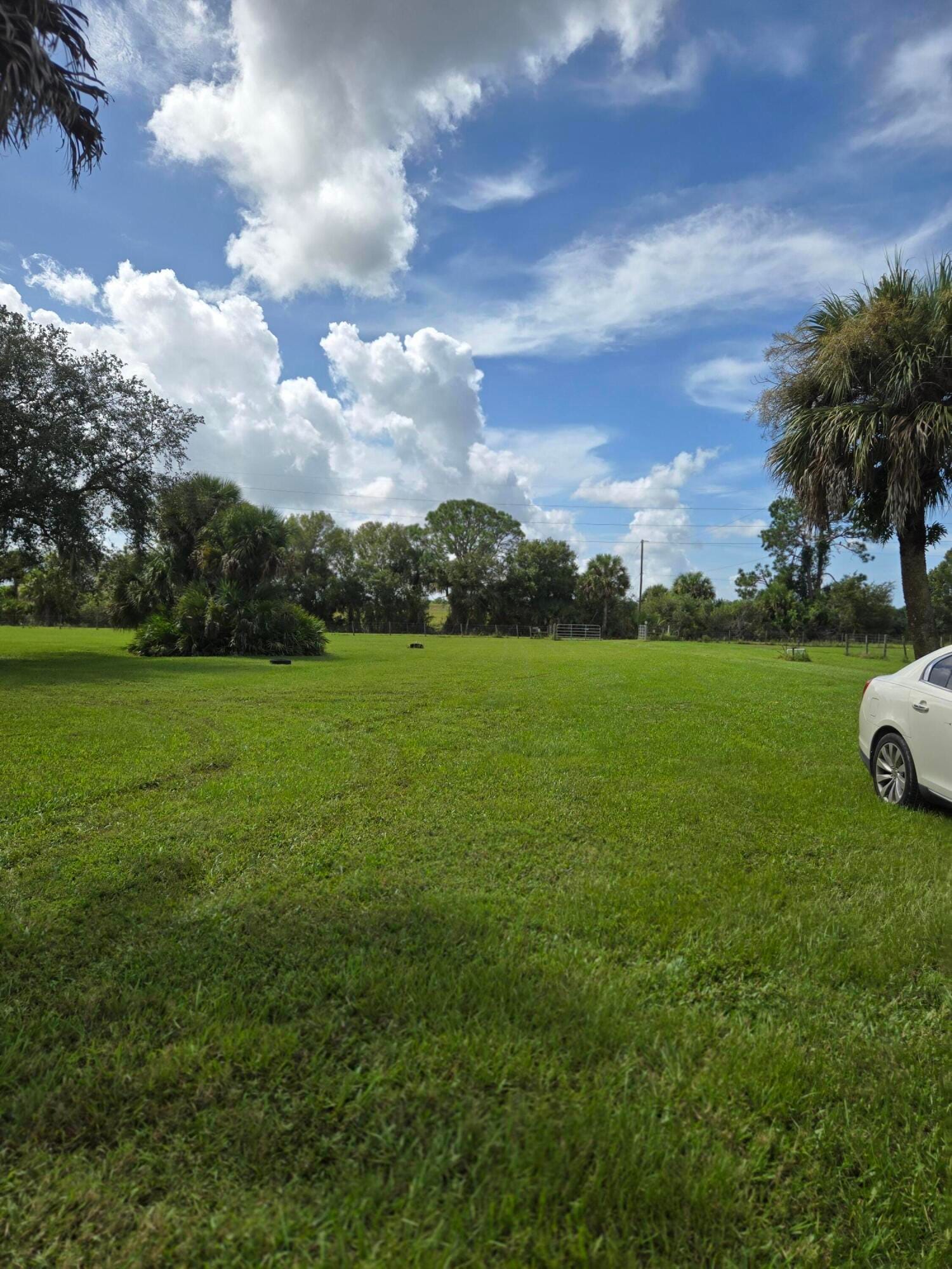 23101 SW CARDAMINE Street, Indiantown, FL 34956 photo 22
