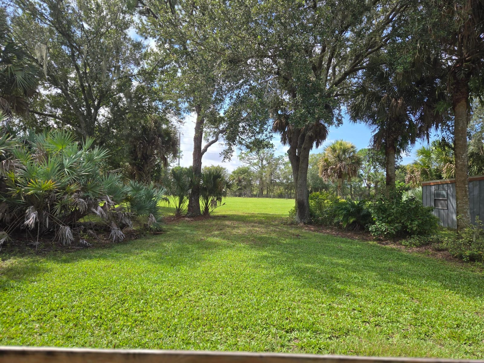 23101 SW CARDAMINE Street, Indiantown, FL 34956 photo 4