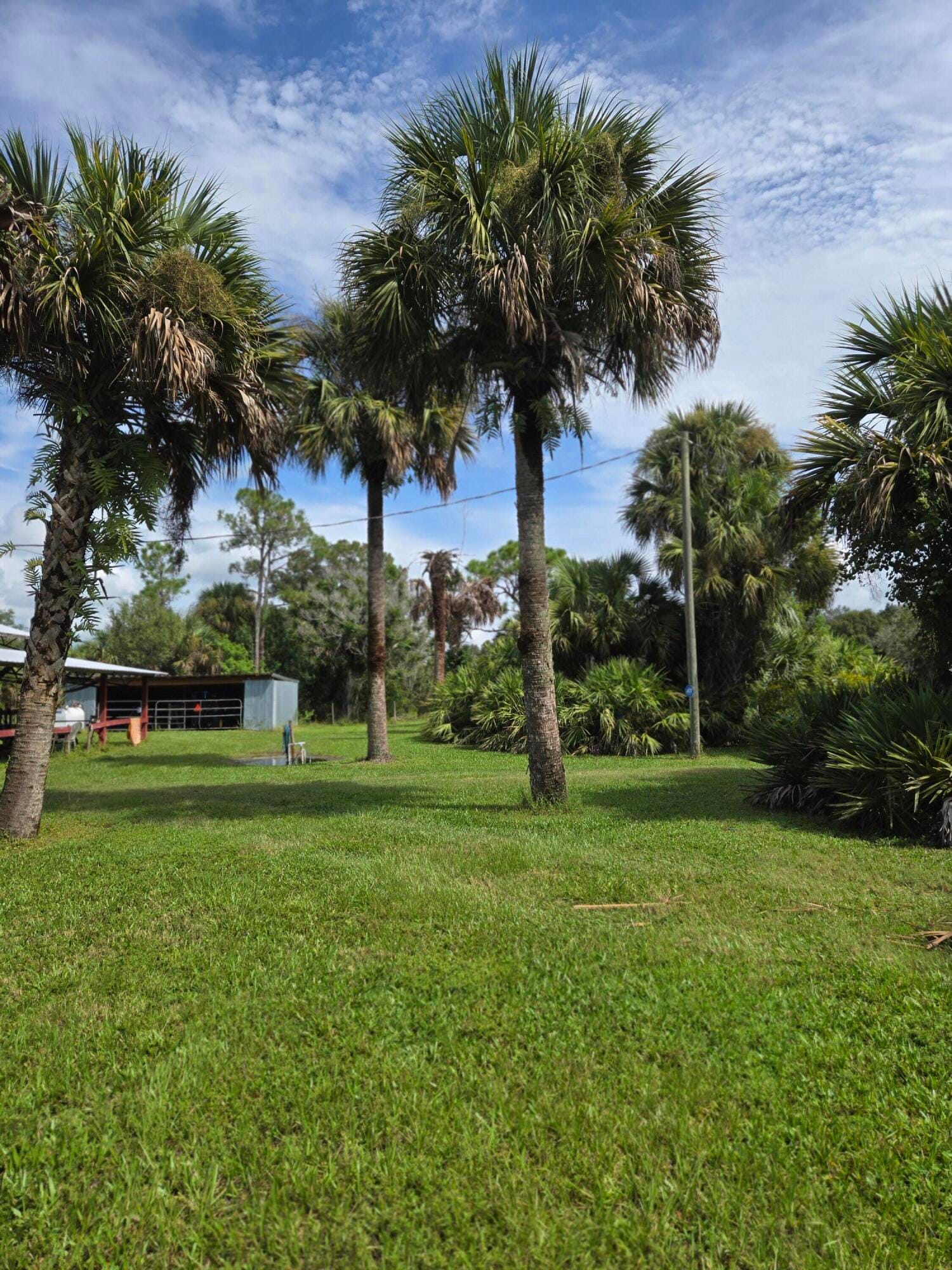 23101 SW CARDAMINE Street, Indiantown, FL 34956 photo 7