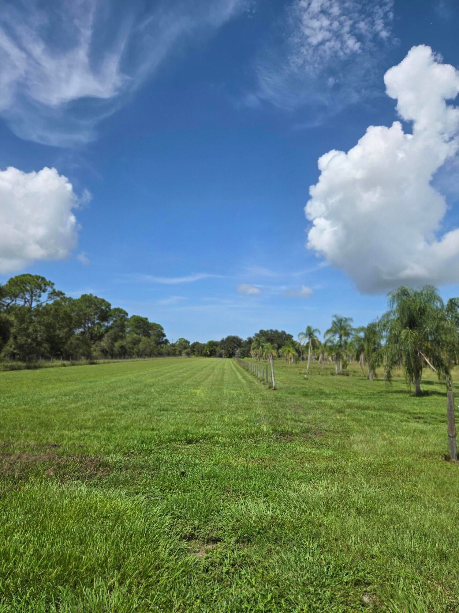 23101 SW CARDAMINE Street, Indiantown, FL 34956 photo 8