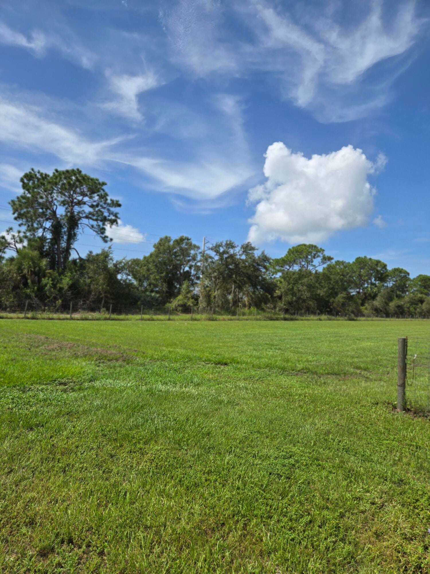 23101 SW CARDAMINE Street, Indiantown, FL 34956 photo 9