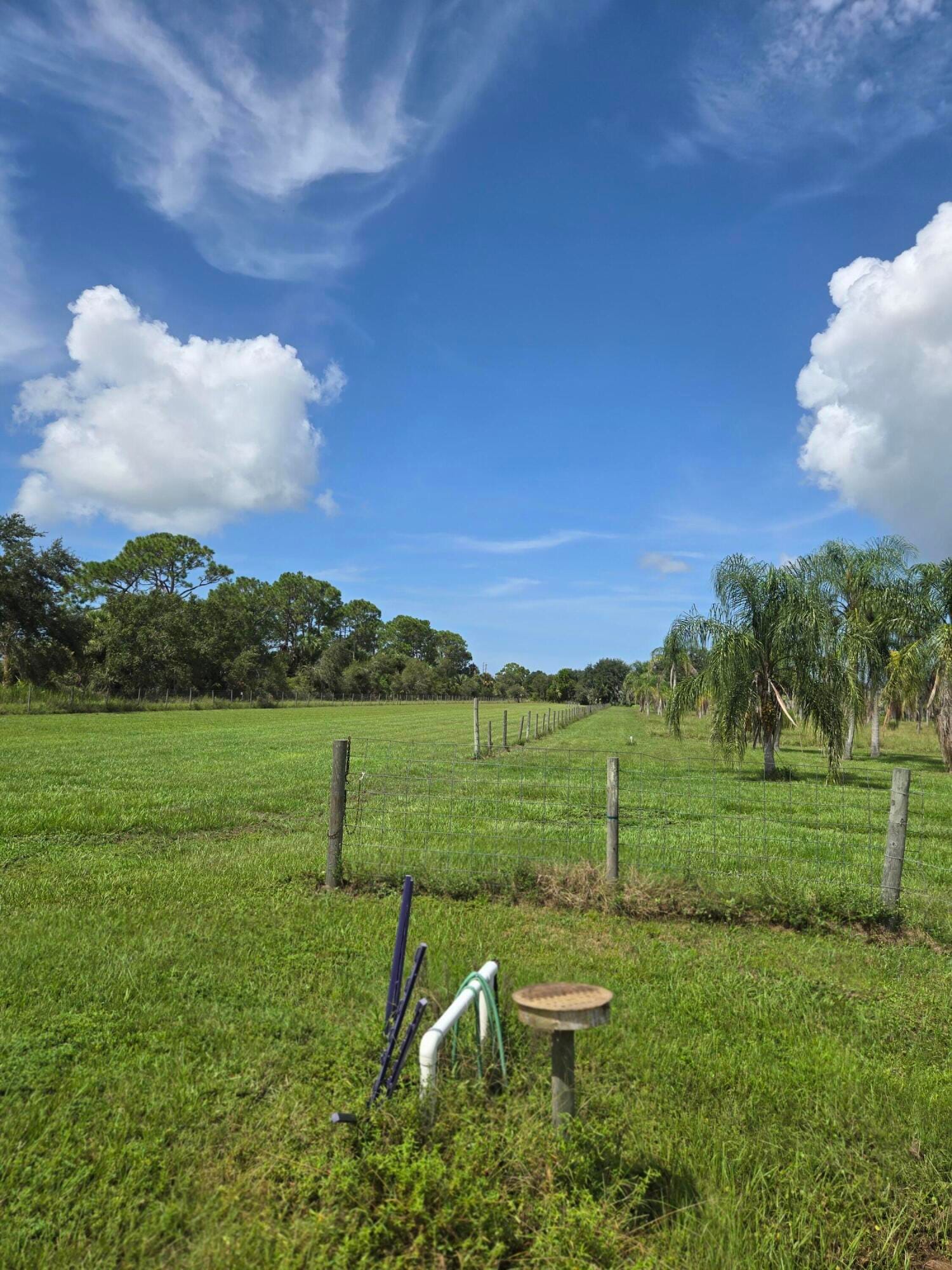23101 SW CARDAMINE Street, Indiantown, FL 34956 photo 10