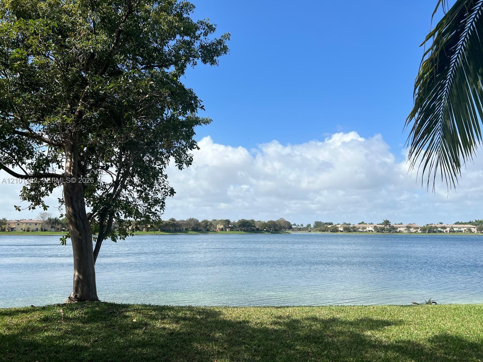 22306 SW 89th Court 1, Cutler Bay, FL 33190 photo 15