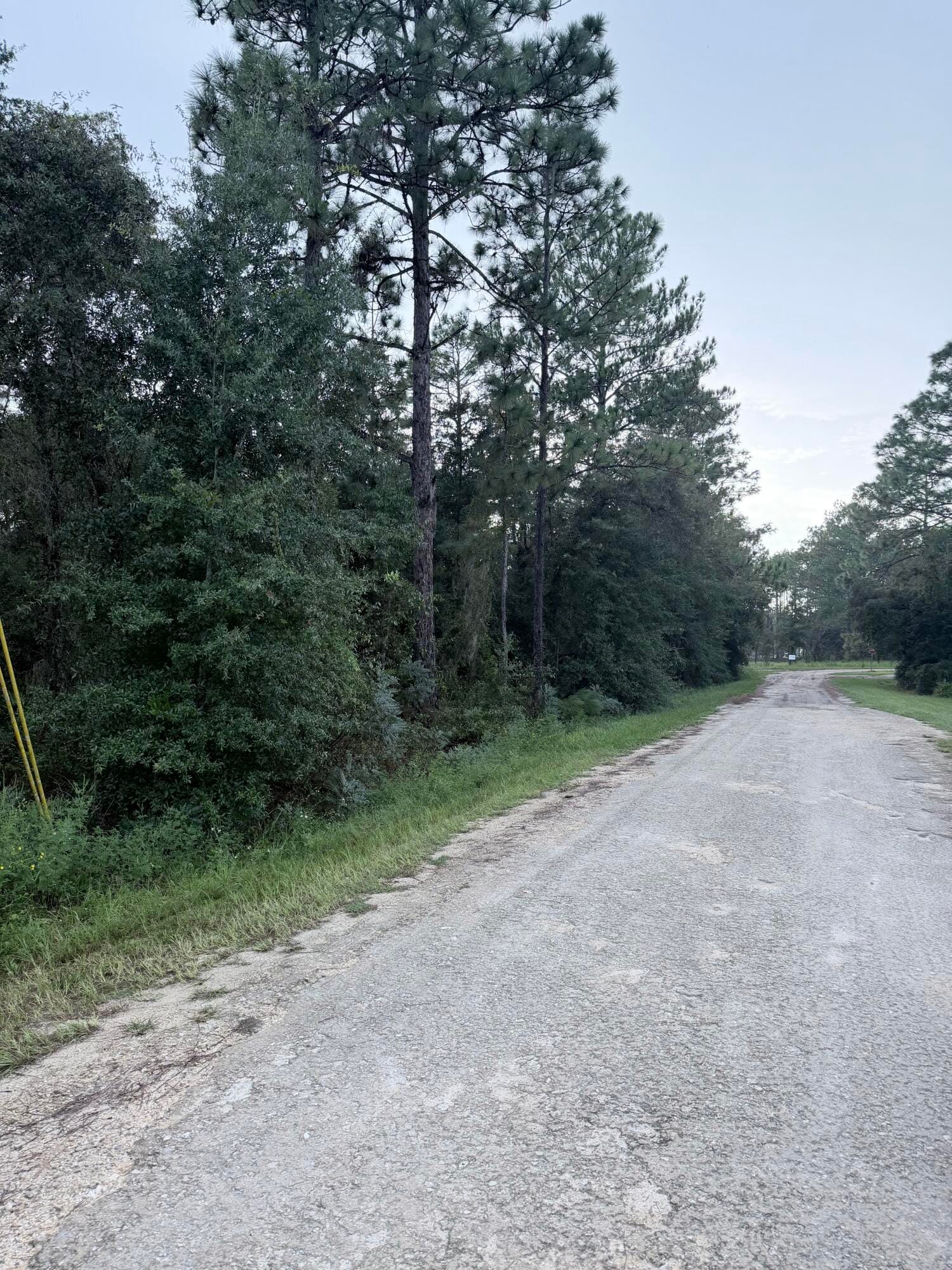 0 NO SITUS, Dunnellon, FL 34432 photo 2
