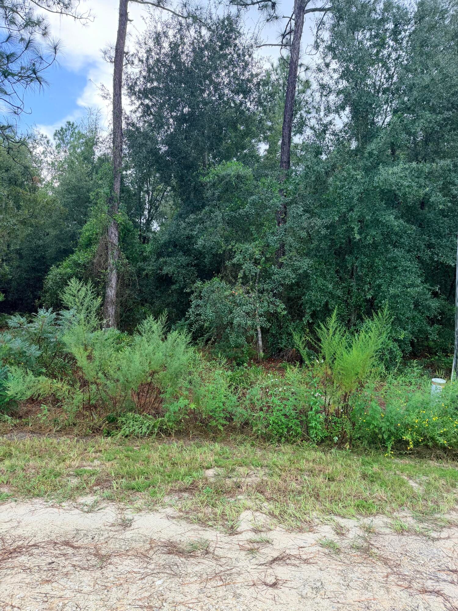 0 NO SITUS, Dunnellon, FL 34432 photo 4